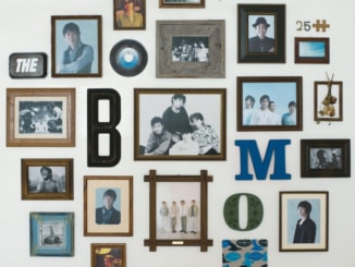 THE BOOM HISTORY ALBUM 1989-2014～25 PEACETIME BOOM～